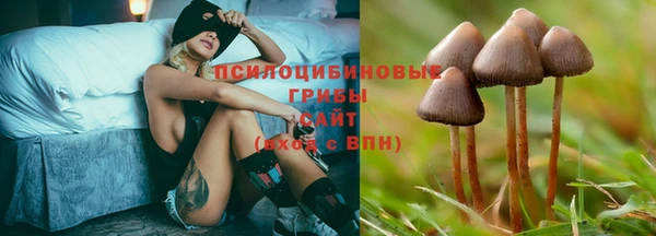 PSILOCYBIN Богородск