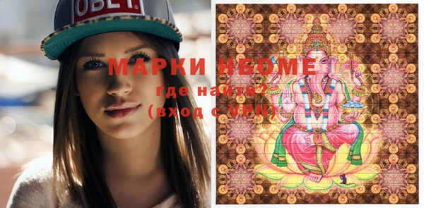 индика Богородицк