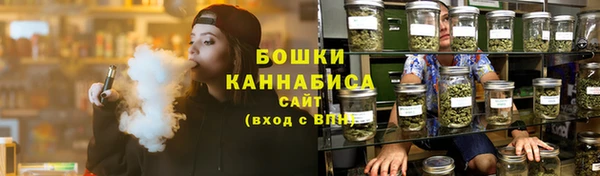 индика Богородицк