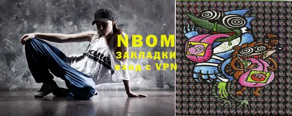 индика Богородицк