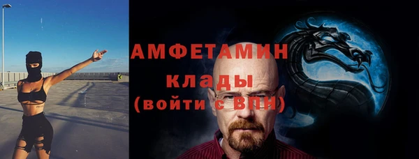 индика Богородицк