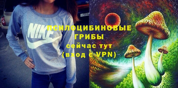 крисы Балахна