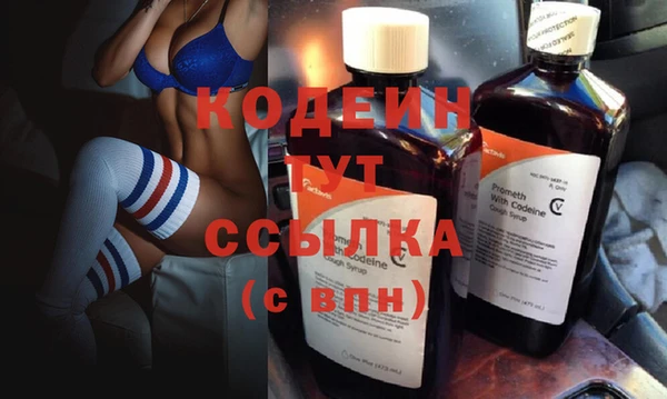 индика Богородицк