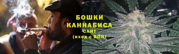 индика Богородицк