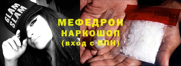 индика Богородицк