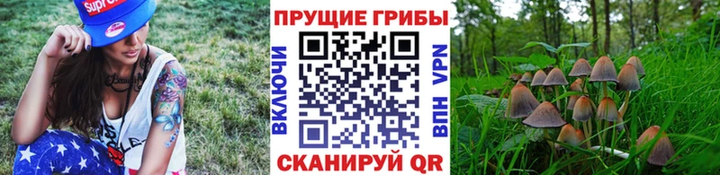 Галлюциногенные грибы ЛСД  Бутурлиновка 